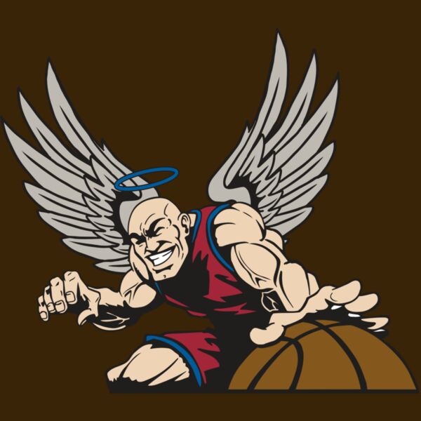 AR17 ANGEL BSKT 04 RQC Thumbnail