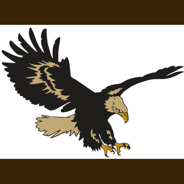 AR EAGLE 47 RC Thumbnail