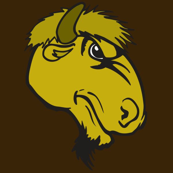 AR BUFFALO 14 RC Thumbnail