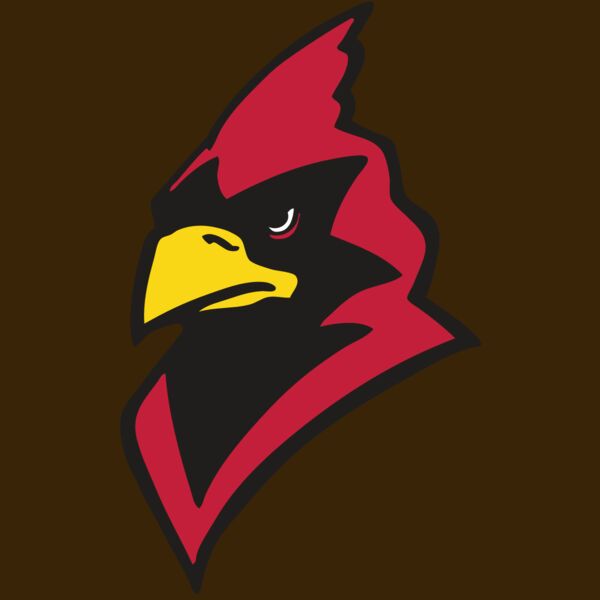 AR CARDINAL 22 RC Thumbnail