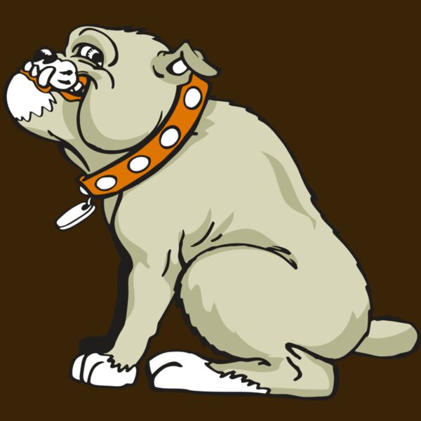 AR BDOG 26 RC Thumbnail