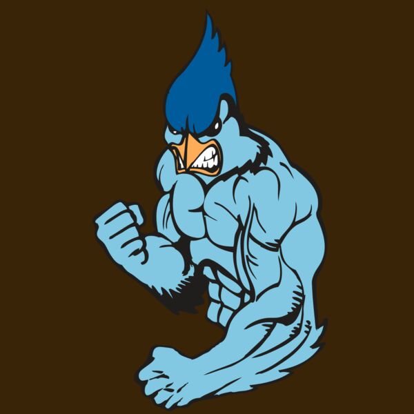 BAW BLUEJAY 13 RC Thumbnail