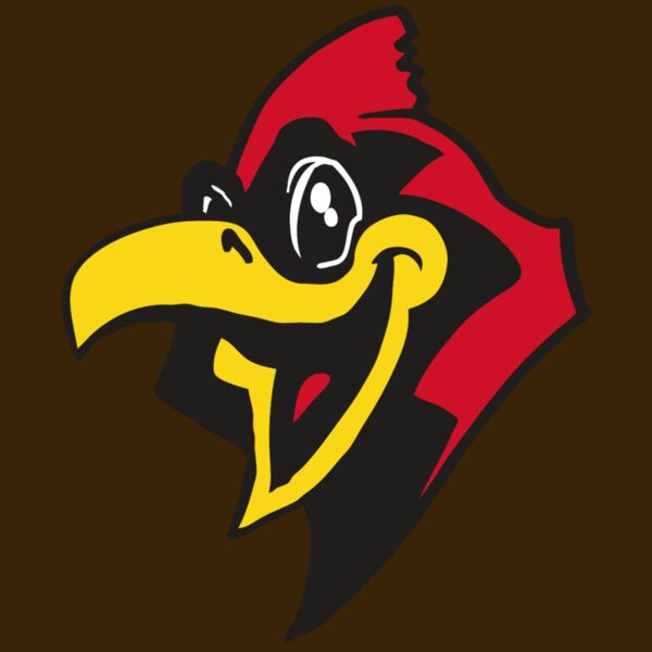 AR CARDINAL 36 RC Thumbnail