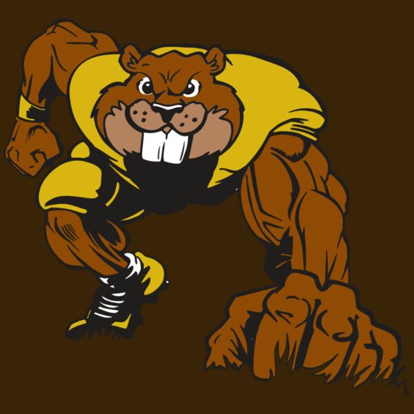 AR14 BEAVER FBLL 03 RQC Thumbnail