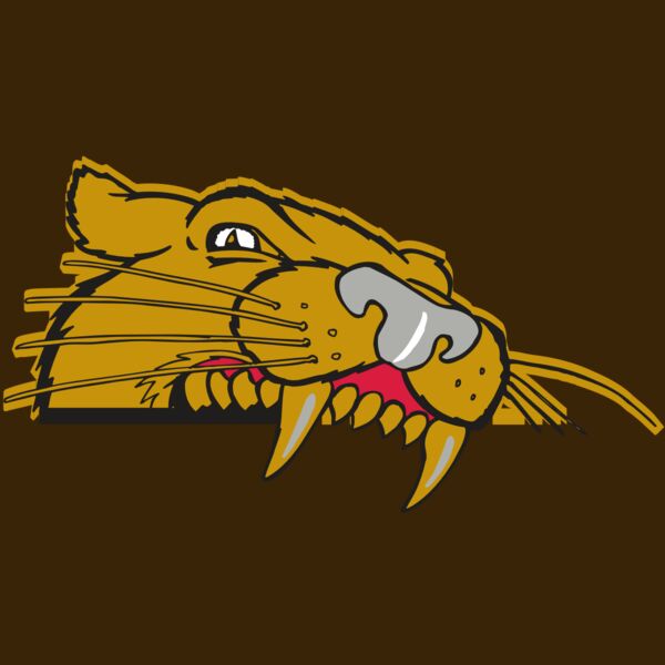 AR COUGAR 73 RC Thumbnail