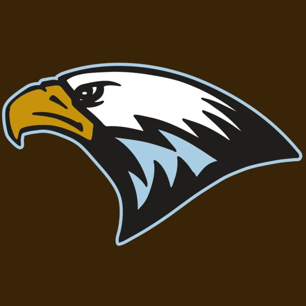 AR EAGLE 27 RC Thumbnail