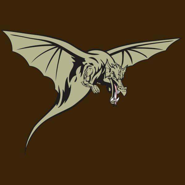 BAW DRAGON 12 RC Thumbnail