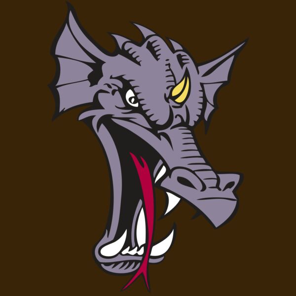 BAW DRAGON 05 RC Thumbnail