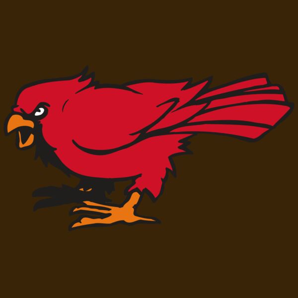 AR CARDINAL 59 RC Thumbnail