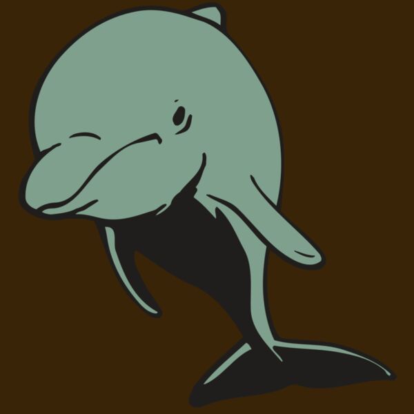 AR DOLPIN 11 RC Thumbnail