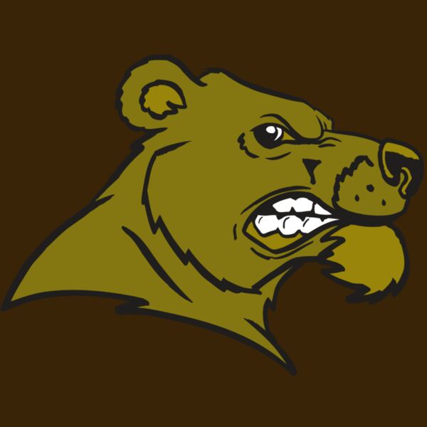 AR BEAR 11 RC Thumbnail