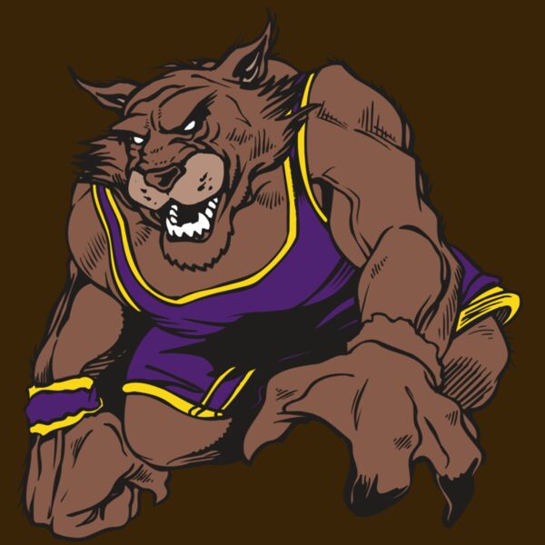 AR WILDCAT 23 RC Thumbnail