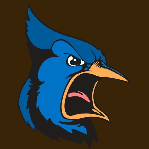 BAW BLUEJAY 03 RC Thumbnail