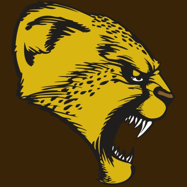 BAW CHEETAH 13 RC Thumbnail