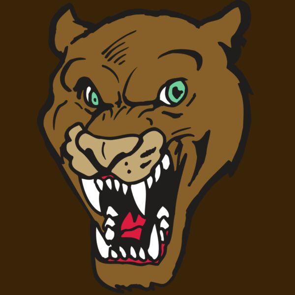 AR5 COUGAR 16 RQC Thumbnail