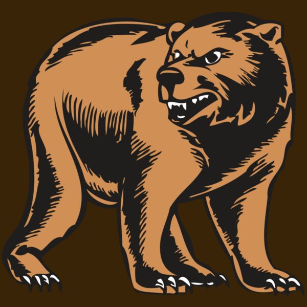 BAW BEAR 09 RC Thumbnail