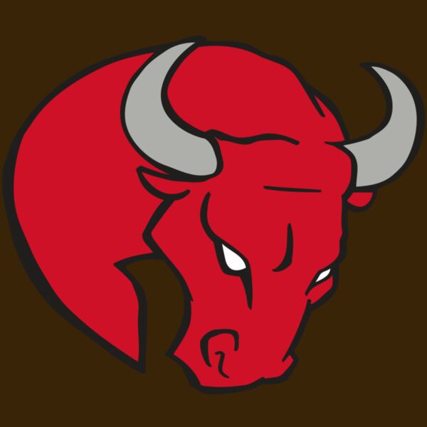 AR BULL 24 RC Thumbnail