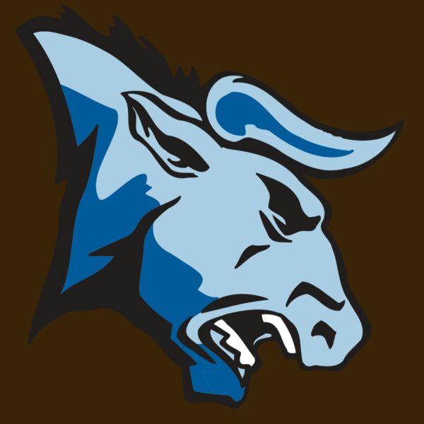 AR BULL 20 RC Thumbnail