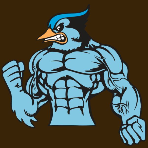 BAW BLUEJAY 16 RC Thumbnail