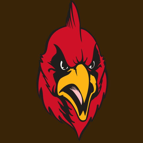 BAW CARDINAL 11 RC Thumbnail