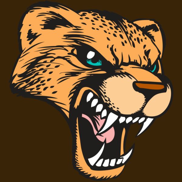 BAW CHEETAH 19 RC Thumbnail