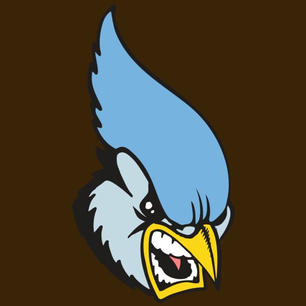 BAW BLUEJAY 05 RC Thumbnail