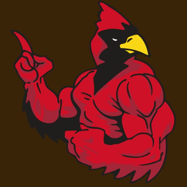 AR CARDINAL 28 RC Thumbnail