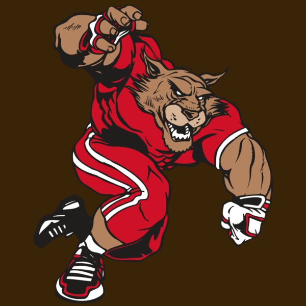 AR WILDCAT 32 RC Thumbnail