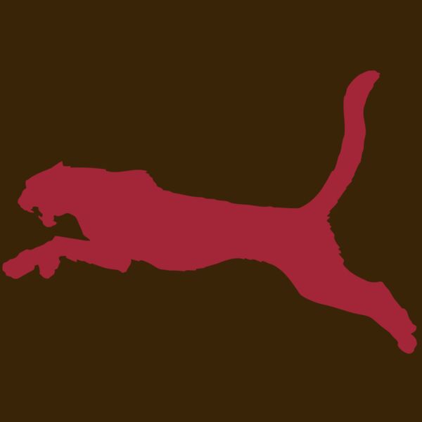 AR CHEETAH 11 RC Thumbnail