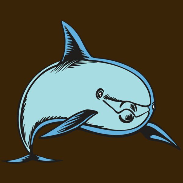 BAW DOLPHIN 04 RC Thumbnail