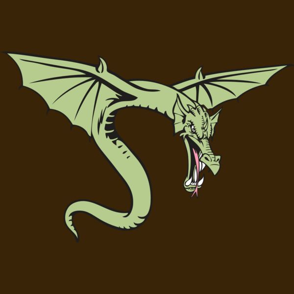 BAW DRAGON 08 RC Thumbnail