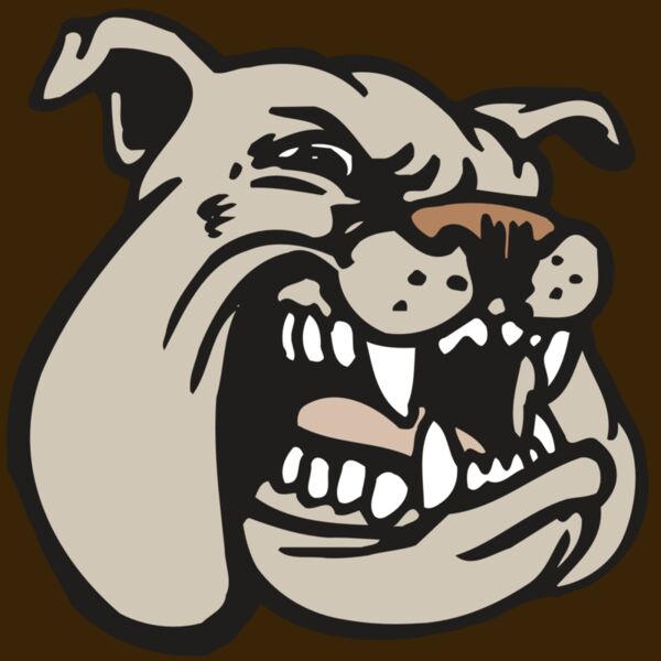 AR BDOG 38 RC Thumbnail