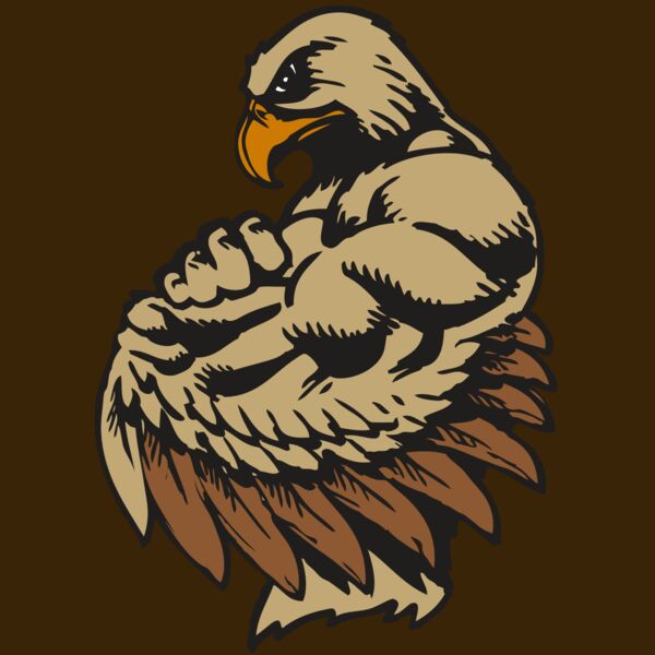 BAW HWK FLCN 02 RC Thumbnail