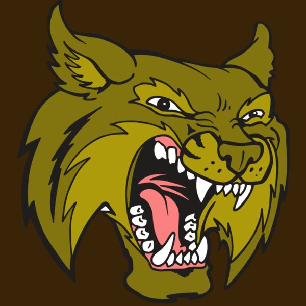 AR5 BOBCAT 20 RQC Thumbnail