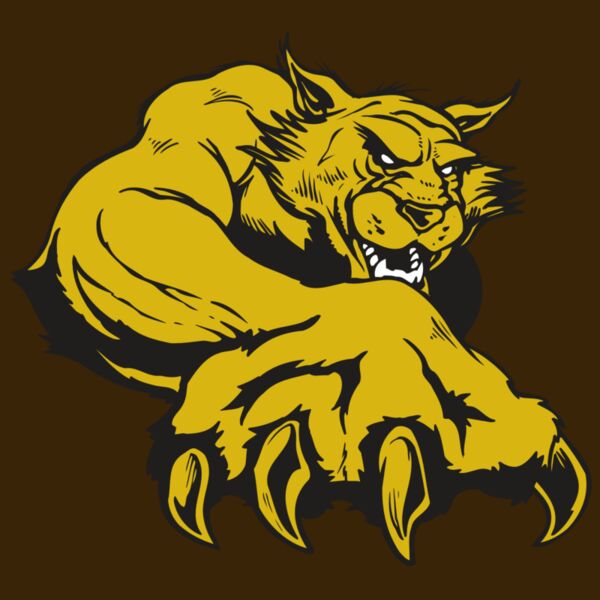 AR WILDCAT 26 RC Thumbnail