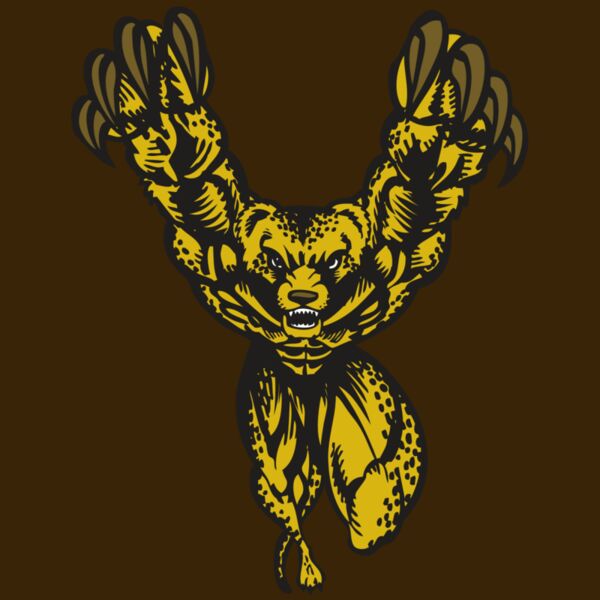 BAW CHEETAH 09 RC Thumbnail