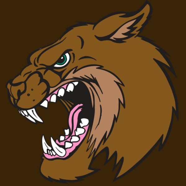 AR5 BOBCAT 18 RQC Thumbnail