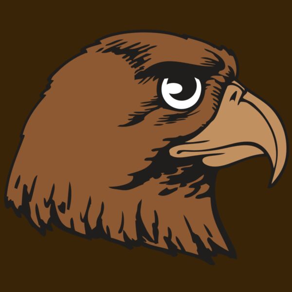 BAW HWK FLCN 05 RC Thumbnail