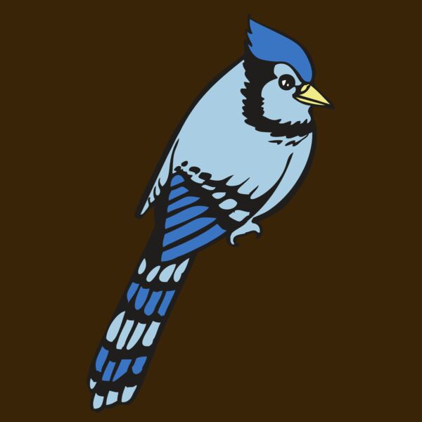 BAW BLUEJAY 08 RC Thumbnail