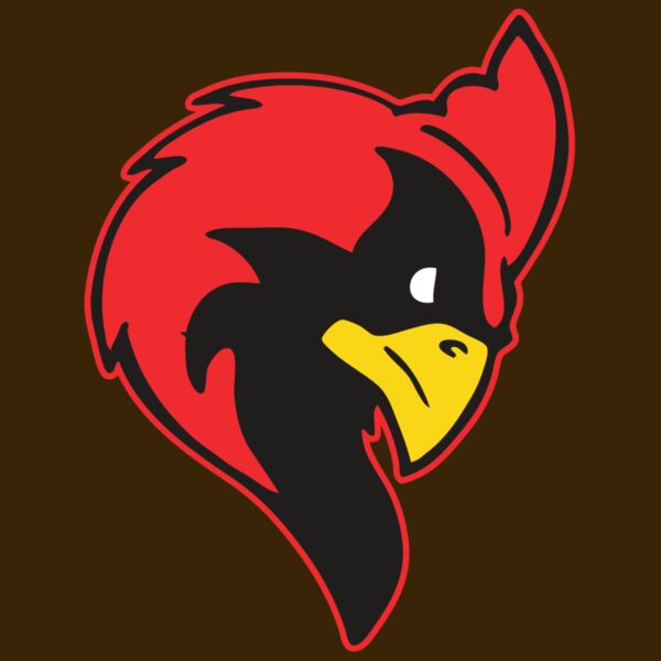 AR CARDINAL 24 RC Thumbnail