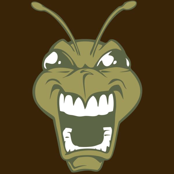 BAW BEE 13 RC Thumbnail