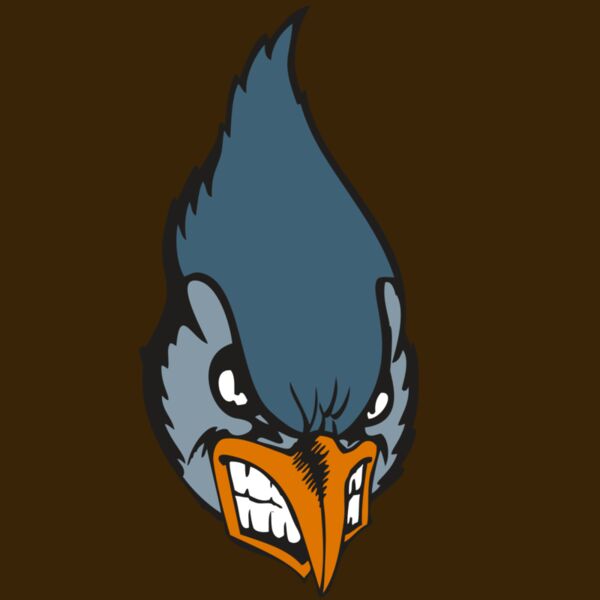 BAW BLUEJAY 01 RC Thumbnail