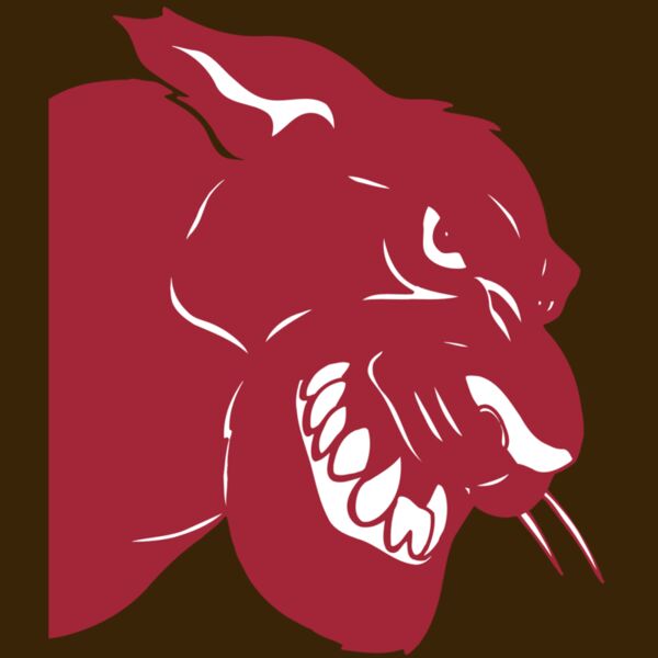 AR5 COUGAR 37 RQC Thumbnail