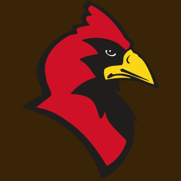 AR CARDINAL 20 RC Thumbnail