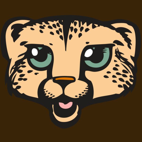 BAW CHEETAH 18 RC Thumbnail