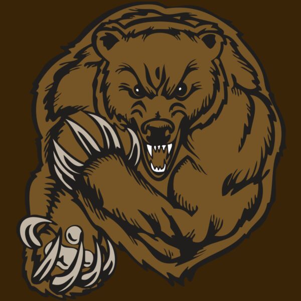 BAW BEAR 07 RC Thumbnail