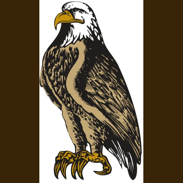 BAW EAG 02 RC Thumbnail