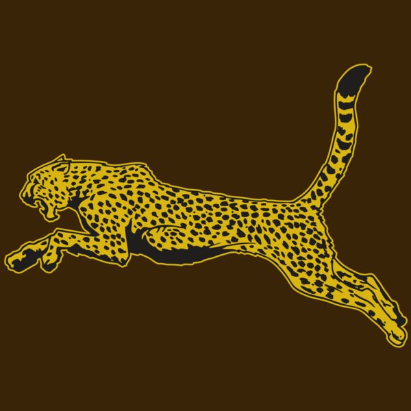 AR CHEETAH 10 RC Thumbnail