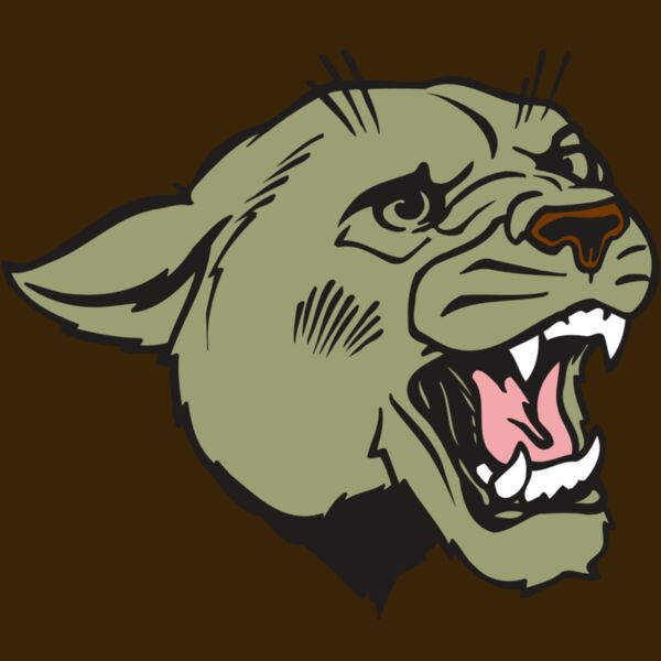 AR COUGAR 40 RC Thumbnail