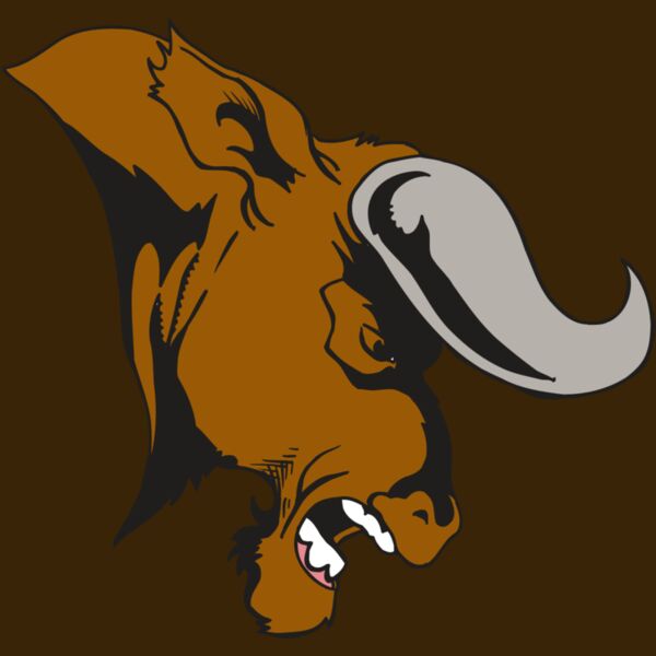 AR5 BULL 07 RQC Thumbnail